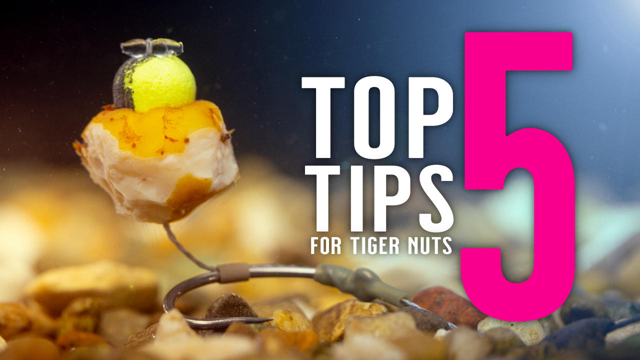 Top 5 Tips For Tiger Nuts