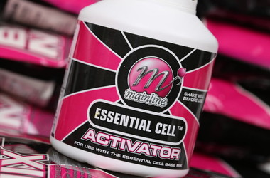 More information about Essential Cell Activator