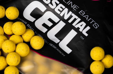 More information about DEDICATED SHELF LIFE BOILIES