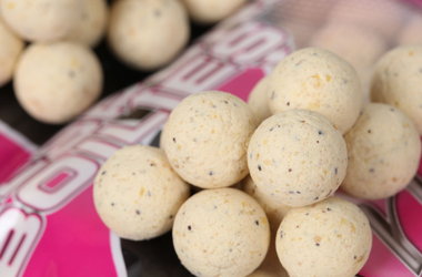 Response Response Range Boilies