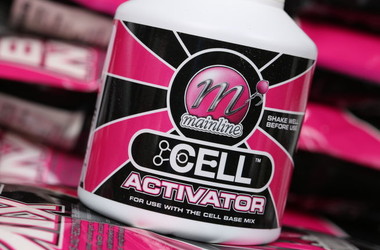 More information about Cell Activator