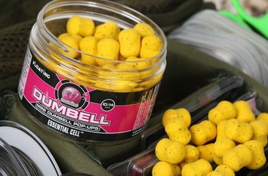 Dedicated Dedicated Base Mix Mini Dumbell Pop-Ups