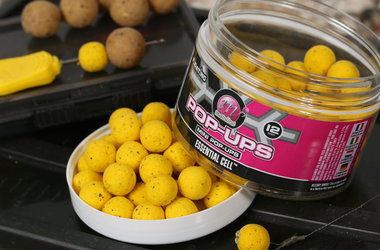 Dedicated Dedicated Base Mix Mini Pop-Ups