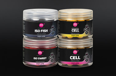 Dedicated Base Mix Mini Pop-Ups