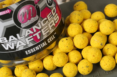 Dedicated Dedicated Base Mix Balanced Wafters