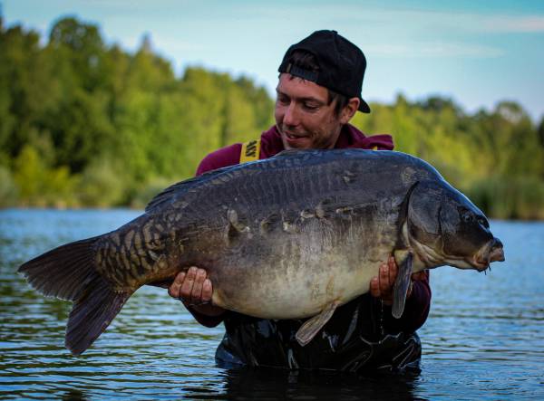 Photo of David Vesel 