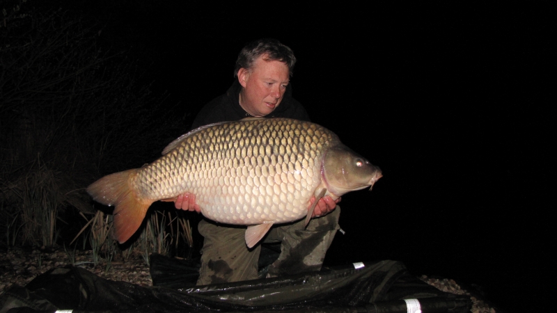 Upper forty common