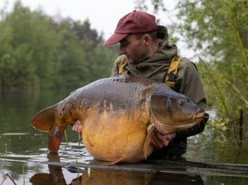 Photo of Rob van de Kruijs