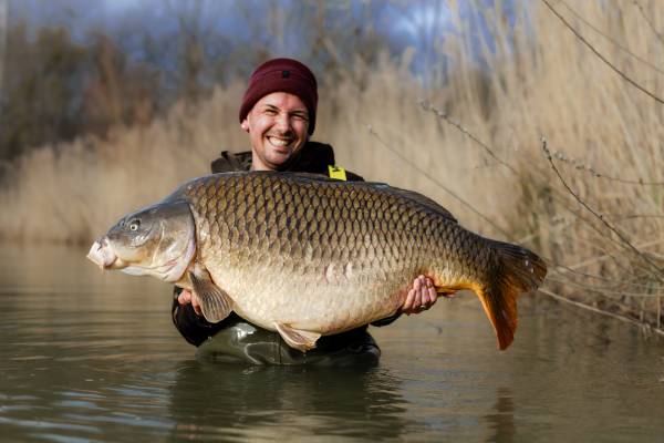 Photo of Pierre MEYER