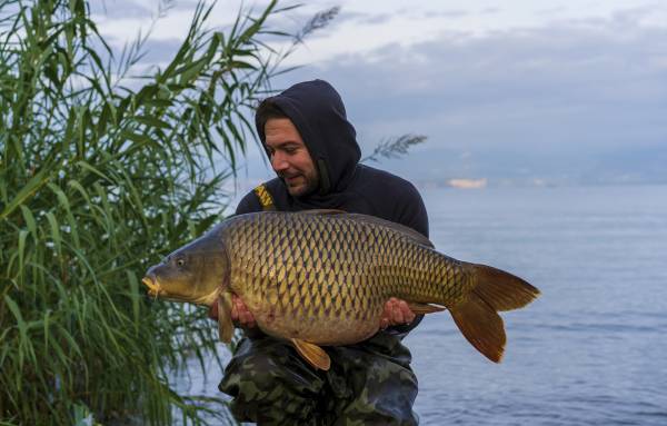 Photo of Nicola Soave