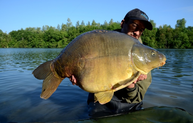 42lb Mirror from the river Seine