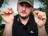 Mainline Baits TV - High Attract Tactics With Nicholas Holzer 