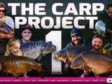 The Carp Project Vol.01