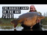 The Biggest Carp In The UK
