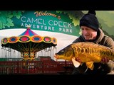 Carp Fishing In A Theme Park