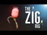 THE ZIG RIG