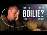 How To Choose A Boilie
