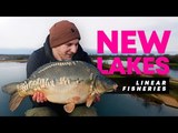 NEW LAKES AT LINEAR FISHERIES 