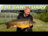 THE SANCTUARY LAKE WITH DAVE LEVY 