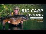 BIG CARP FISHING IN FRANCE